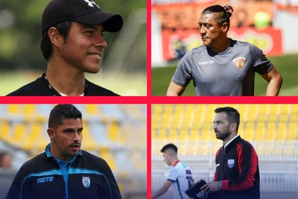 Segunda División Profesional