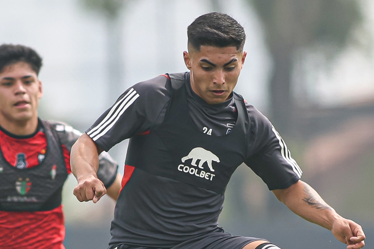Colo Colo