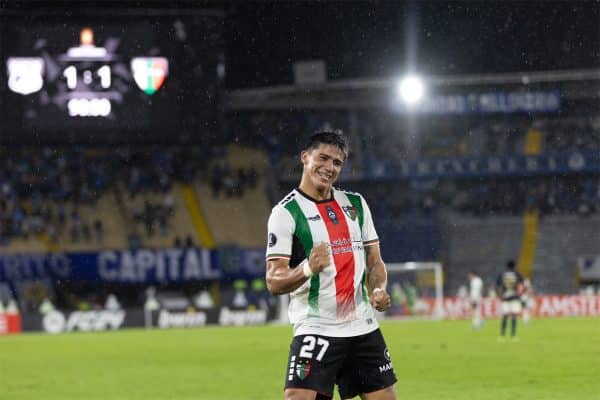 Palestino