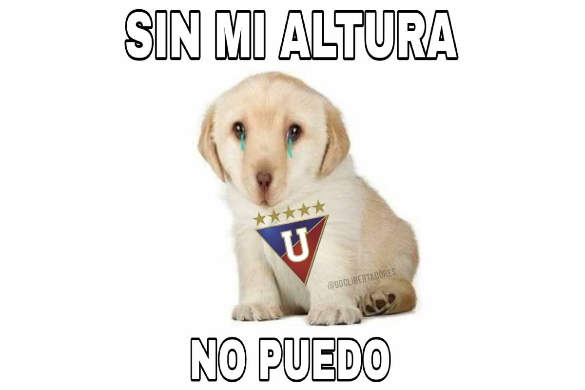 Universitario vs. LDU: Los memes tras el triunfo de la 'U' en la Copa Libertadores 2024