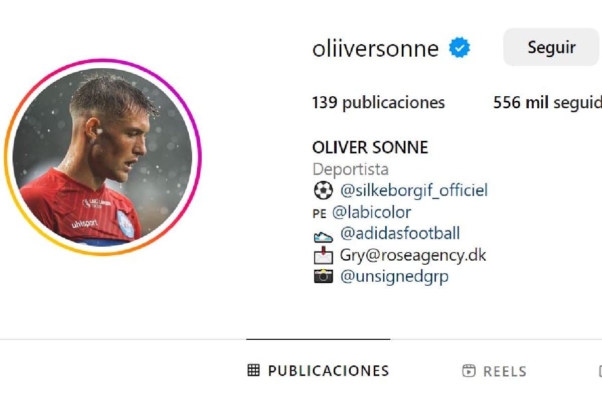 sonneinsta2