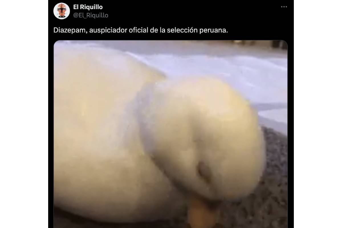 Perú vs. Paraguay - memes