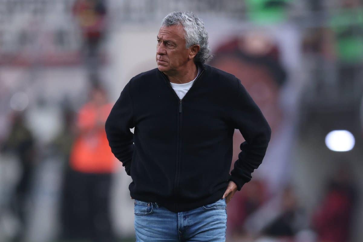 pipo gorosito (10)